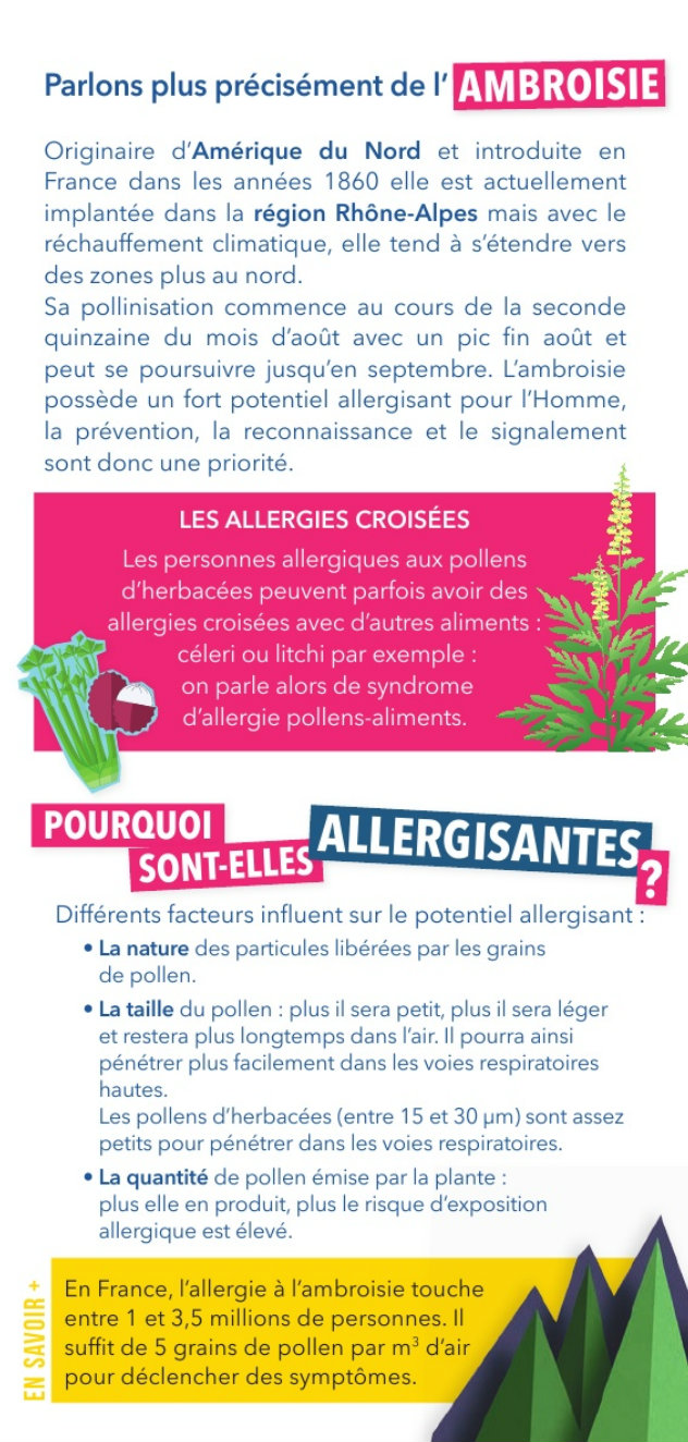 Brochure herbacees brochure-herbacees